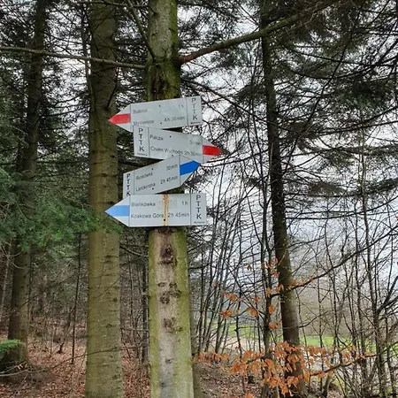 Domek Pod Jodelka * Harbutowice